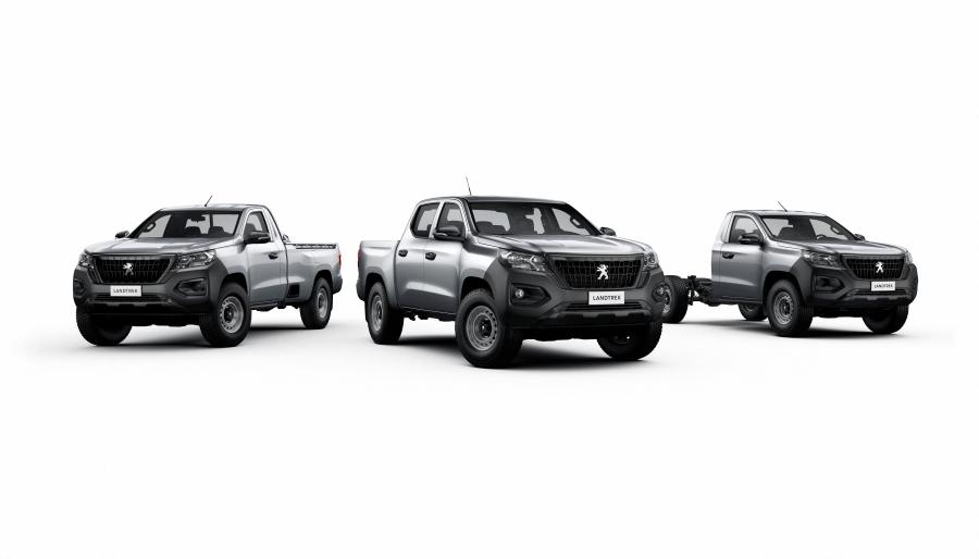  Peugeot Landtrek Workhorse Double Cab 2020 года  (фото 6 из 12)